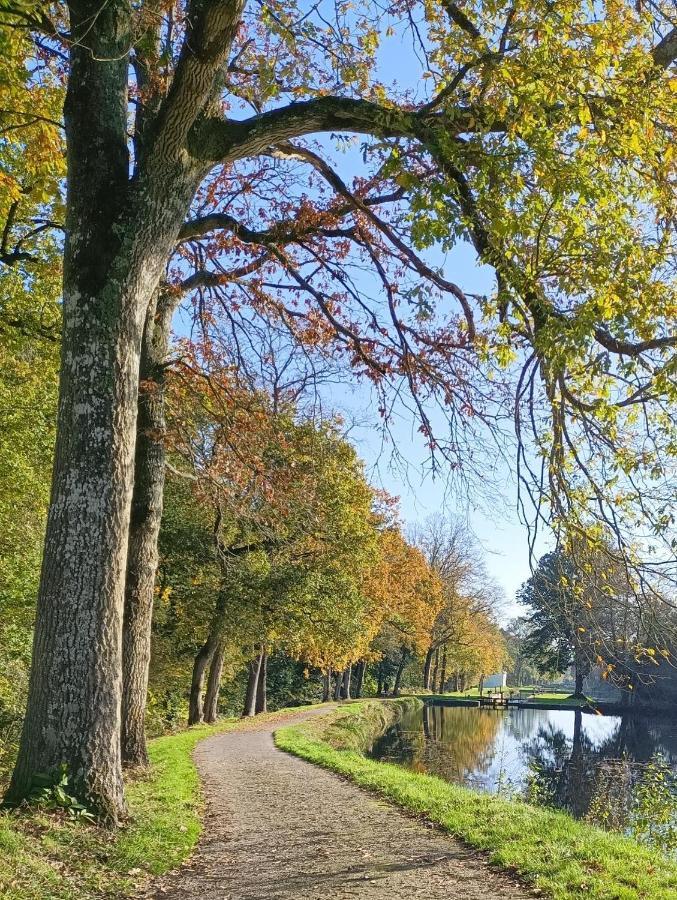Central Brittany B And B Rohan Exteriör bild